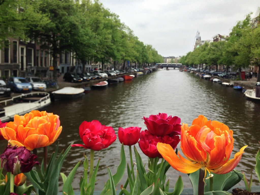 places to visit in amsterdam for free